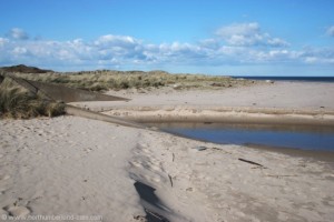 View north after joining the beach.