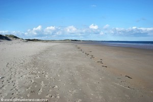 Vast open beach.