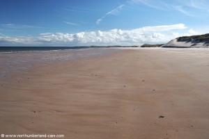 Vast open beach.