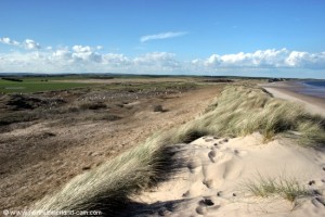 View noth along Druridge Bay from top of the dunes.