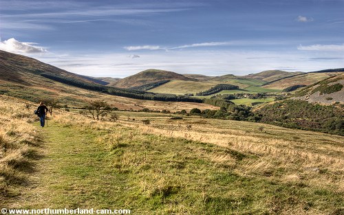Northumberland - Elsdon Burn - Cheviot Hills Walks