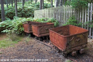 Old coal tubs.