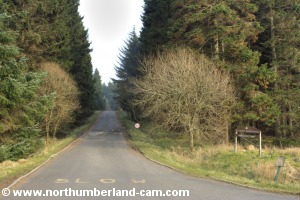 View back along the road at Hawkhirst.