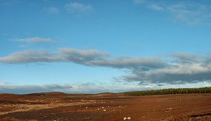 Open moorland beyond railway.