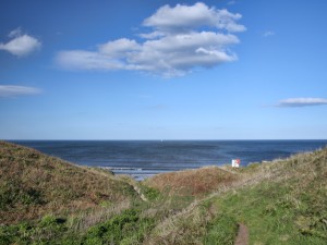 View out to sea from path through gulley.