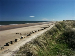 View south from dunes towards Amble.