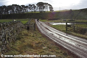 The track at clennell.