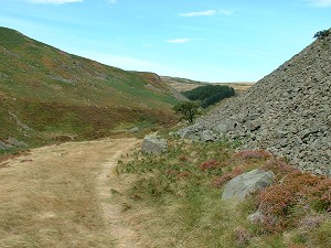 Path alongside Carey Burn.