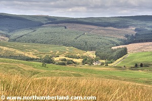 View back across the valley from the approach to Windy Knowe.