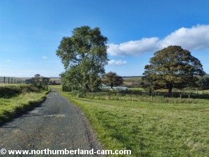 Road to Newbiggin Farm.