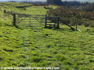 Gate after Newbiggin Farm.