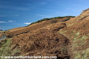 The path up to Goatscrag Hill.
