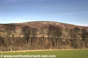 View across the valley to Goatscrag Hill.