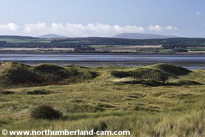 View from the dunes to the mainland.