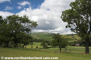 Another view towards Dunmoor Hill.