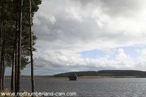 View from the forest to the dam.