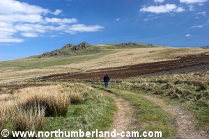 Track leading towards Langlee Crags.