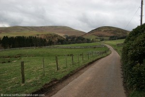 The road to Linhope.