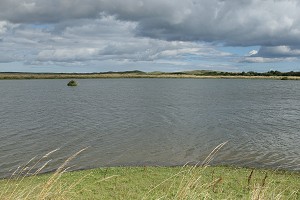 Druridge Bay ponds.