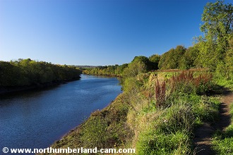 River Tyne between Newburn and Wylam.