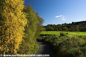 Footpath beside Ryton Golf Course.