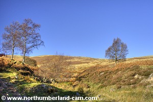 Path to Scald Hill.