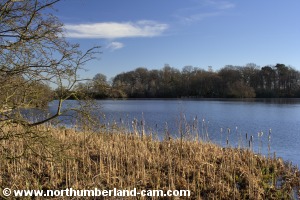 View across Bolam Lake.