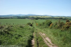 View from track to the Cheviots