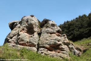 Cockenheugh Rock Buttresses