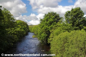 View west along the River Rede.