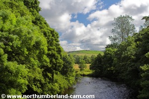 View east along the River Rede.