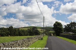 Road to East Woodburn.