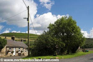 Farm near East Woodburn.