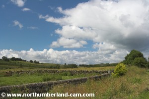 Roadside view near East Woodburn.