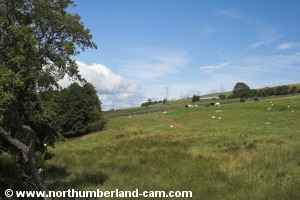 View on north side of Chairford Bridge.