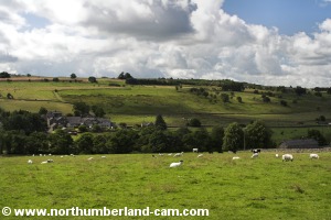 View south across the valley.