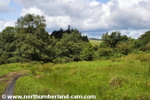 The road becomes a track.