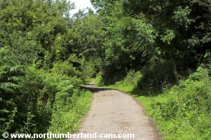 Following the track down to the river.