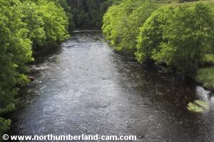 River Rede looking downstream.