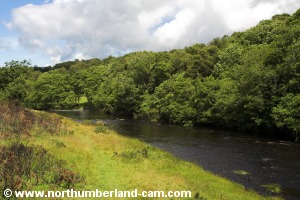 River Rede looking upstream.