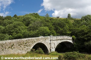 View of the bridge from the riverside.