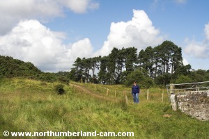 Starting up the track from the bridge.