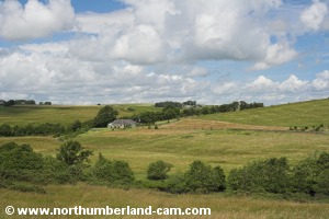 View looking north along Redesdale.