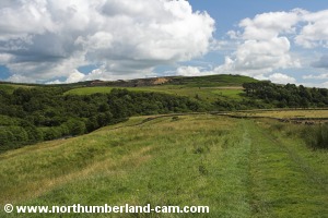 View back along the track.