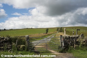 Gate at the end of the track.