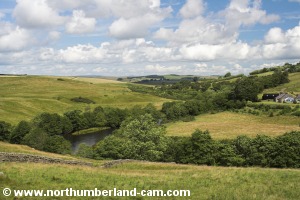 View looking north along Redesdale.