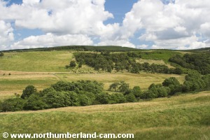 View towards Raylees Common.