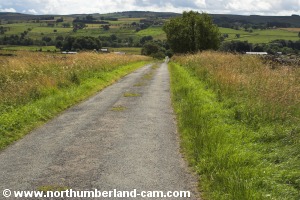 Road down to West Woodburn.